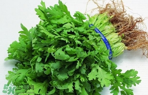 香菜是回奶的嗎？香菜是回奶還是下奶