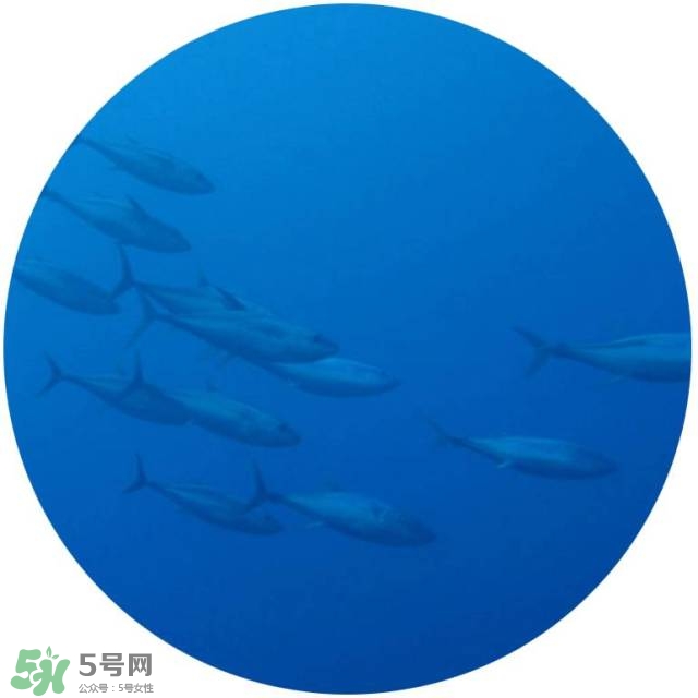 lululun plus面膜怎么樣？lululun plus面膜哪款好
