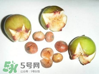 野地瓜滕熬水吃能治療什么??？野地瓜怎么吃