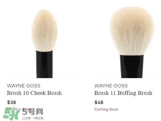 wayne goss是什么牌子？wayne goss化妝刷怎么樣？