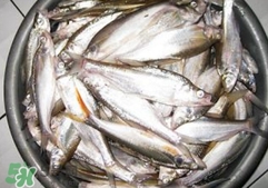 翹殼是什么魚(yú)？翹殼魚(yú)多少錢一斤2017？
