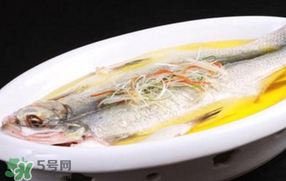孕婦可以吃白條魚嗎？白條魚孕婦能吃嗎？