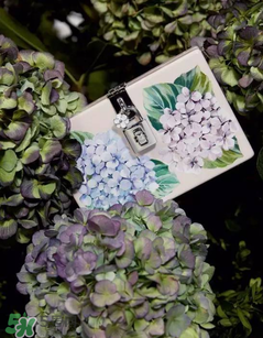 dolce gabanna杜嘉班納2017秋冬繡球花系列怎么樣_好看嗎？