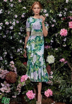 dolce gabanna杜嘉班納2017秋冬繡球花系列怎么樣_好看嗎？