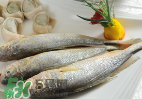 黃魚(yú)多少錢(qián)一斤？黃魚(yú)多少錢(qián)一斤2017？