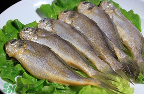 小黃魚長(zhǎng)大后會(huì)不會(huì)變成大黃魚？