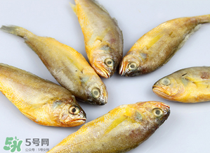 小黃魚(yú)不能和什么一起吃？小黃魚(yú)和什么相克？