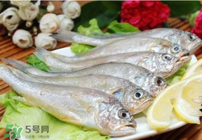 小黃魚(yú)多少錢(qián)一斤？野生小黃魚(yú)多少錢(qián)一斤？