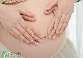 孕婦驅(qū)蚊植物推薦 孕婦能用植物驅(qū)蚊嗎？