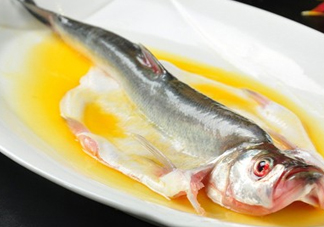 白條魚能長多大？白條魚可以長多大？
