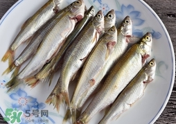 孕婦可以吃白條魚嗎？白條魚孕婦能吃嗎？