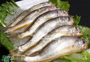 小黃魚(yú)不能和什么一起吃？小黃魚(yú)和什么相克？