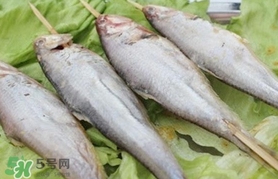 馬口魚怎么釣？馬口魚什么時候釣最好