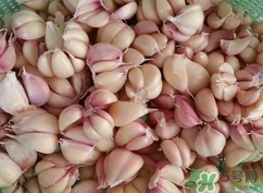 新蒜頭能曬干嗎？新鮮蒜頭曬干要多久