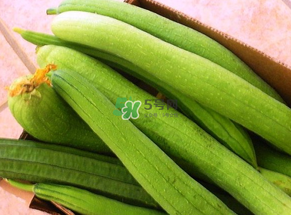 7月份吃什么蔬菜？七月份吃什么蔬菜？