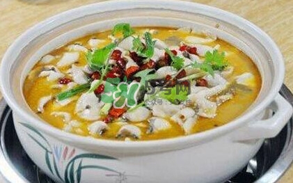 酸菜魚(yú)是哪個(gè)地方的菜？酸菜魚(yú)是什么魚(yú)？