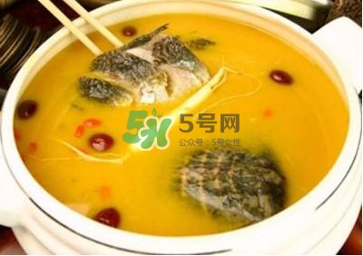 甲魚湯怎么做？甲魚湯的做法