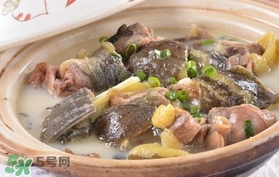 甲魚湯孕婦能喝嗎？甲魚湯孕婦可以喝嗎
