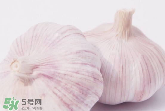 新蒜頭多少錢一斤2017？新蒜頭市場價格