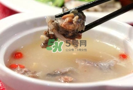 甲魚湯怎么做？甲魚湯的做法