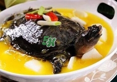 甲魚(yú)不能和什么一起吃？甲魚(yú)不能跟什么食物一起吃