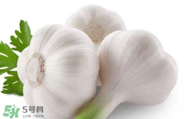 新蒜頭多少錢一斤2017？新蒜頭市場價格