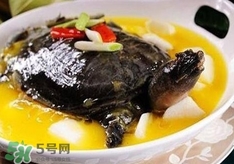甲魚湯孕婦能喝嗎？甲魚湯孕婦可以喝嗎