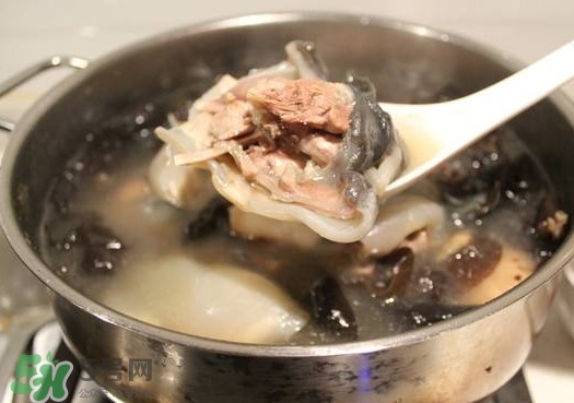 甲魚湯孕婦能喝嗎？甲魚湯孕婦可以喝嗎