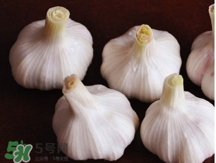 新蒜頭怎么弄成老蒜頭？新蒜頭和老蒜頭的區(qū)別