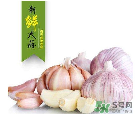 新蒜頭什么時(shí)候上市？新蒜頭幾月份上市