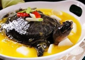甲魚不能和什么一起吃？甲魚不能跟什么食物一起吃