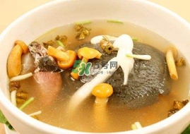 甲魚(yú)不能和什么一起吃？甲魚(yú)不能跟什么食物一起吃