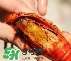 蝦黃孕婦能吃嗎？蝦黃在哪個位置圖解