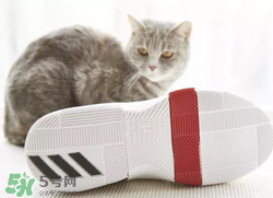 adidas dame3上腳怎么樣？阿迪達斯利拉德三代測評
