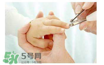 寶寶指甲用什么剪？寶寶剪指甲需要專門的工具嗎？