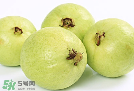番石榴什么時候成熟？番石榴什么時候上市
