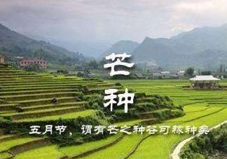 芒種種什么？芒種種什么疏菜？