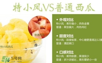特小鳳西瓜多少錢一斤2017？特小鳳西瓜價格