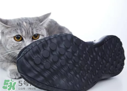 adidas alphabounce上腳怎么樣？阿迪達(dá)斯阿爾法小椰子測評