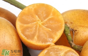 黃皮果怎么保存？黃皮果如何保存