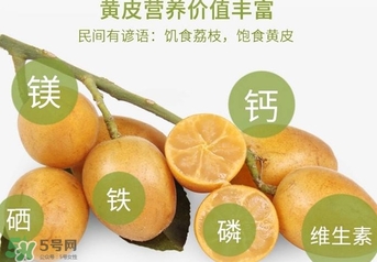 如何種植黃皮果？黃皮果怎么種植？