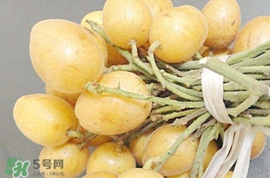 黃皮果多少錢一斤2017？黃皮果價格