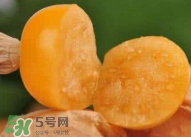 姑娘果是寒性嗎？姑娘果是涼性還是熱性？