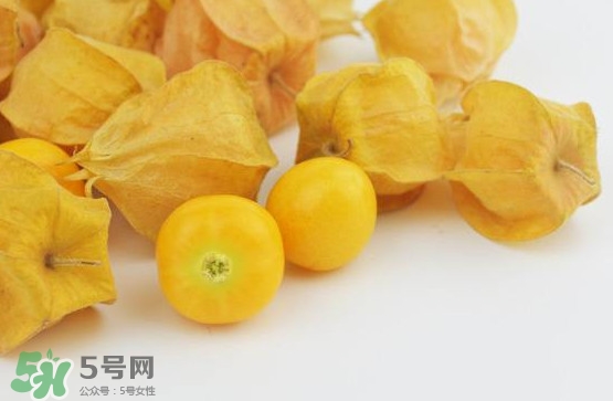 姑娘果什么時(shí)候成熟？姑娘果什么時(shí)候上市