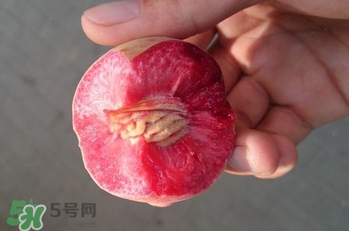 血桃產(chǎn)地在哪？血桃哪些地方產(chǎn)
