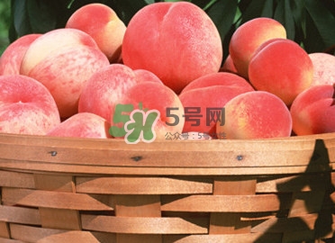 血桃多少錢一斤2017？血桃哪個品種最好吃