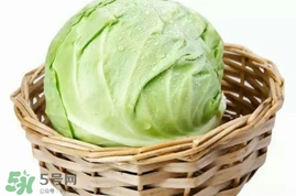 圓白菜是包菜嗎？圓白菜是大頭菜嗎？