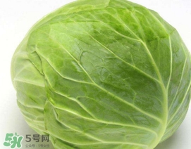 圓白菜是什么菜？圓白菜能生吃嗎？