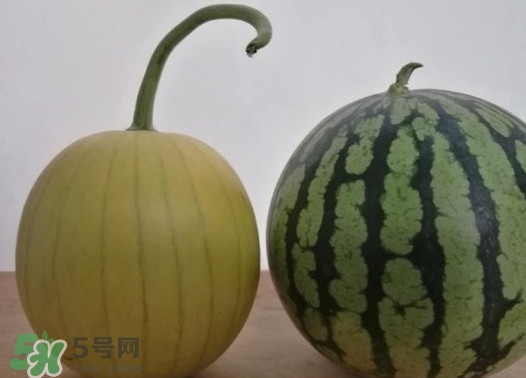 四色瓤西瓜是轉(zhuǎn)基因嗎？四色瓤西瓜是不是轉(zhuǎn)基因？
