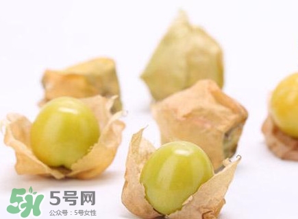 姑娘果什么時(shí)候成熟？姑娘果什么時(shí)候上市